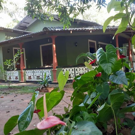 סיגירייה Green Bamboo House מראה חיצוני תמונה