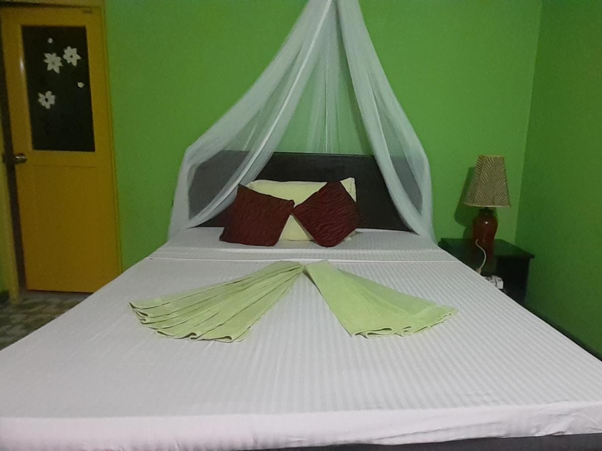 סיגירייה Green Bamboo House מראה חיצוני תמונה