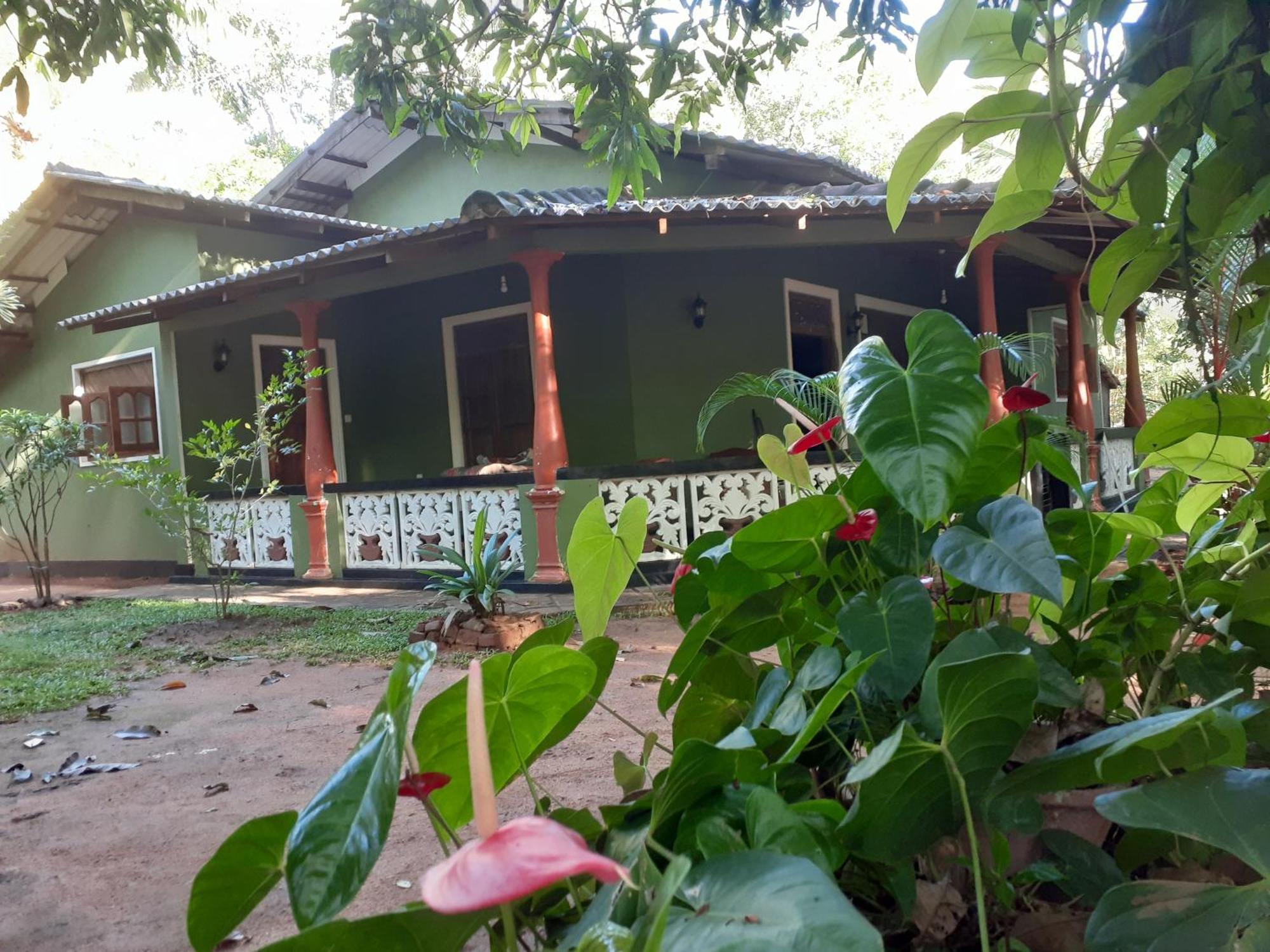 סיגירייה Green Bamboo House מראה חיצוני תמונה