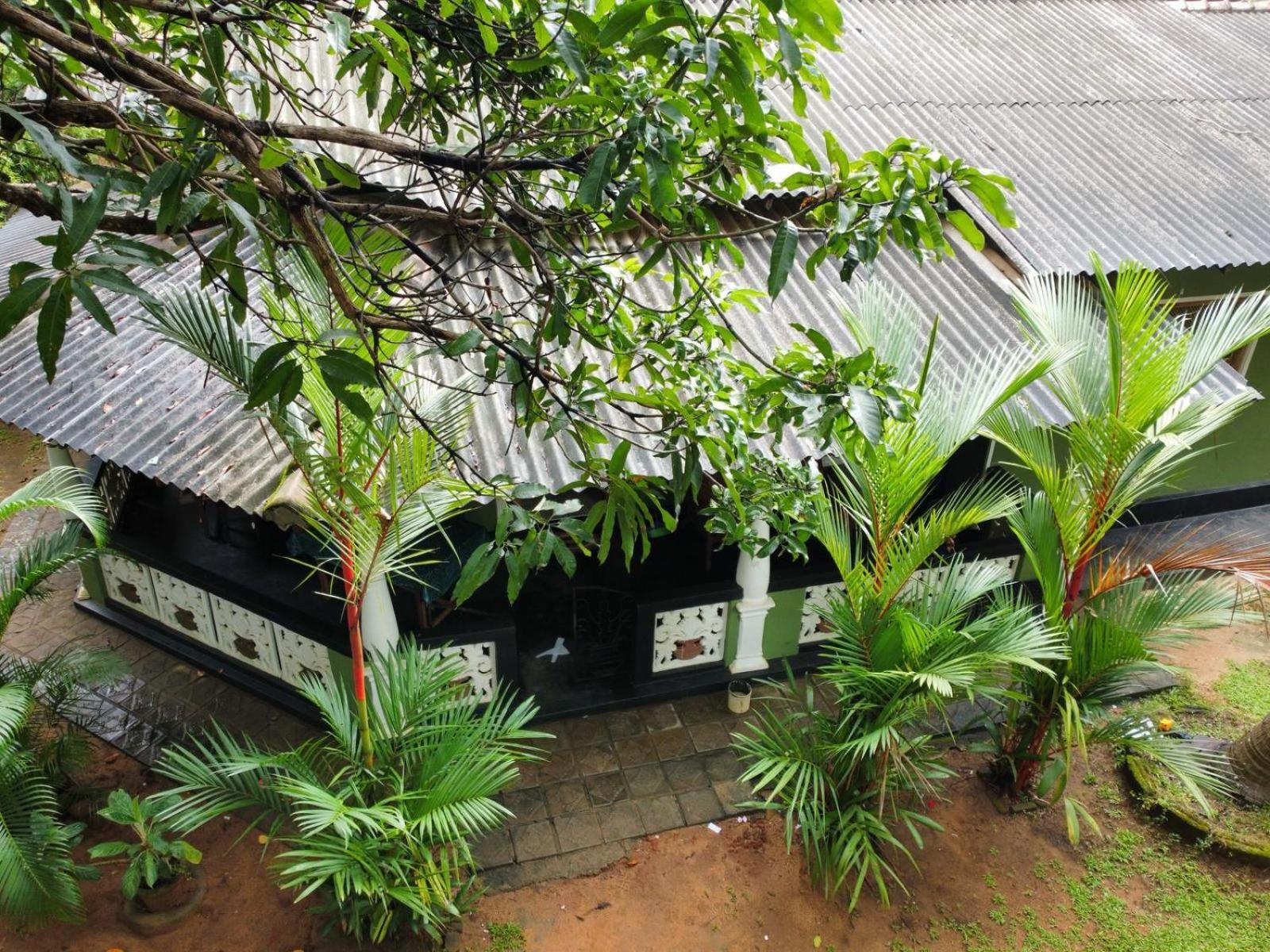 סיגירייה Green Bamboo House מראה חיצוני תמונה