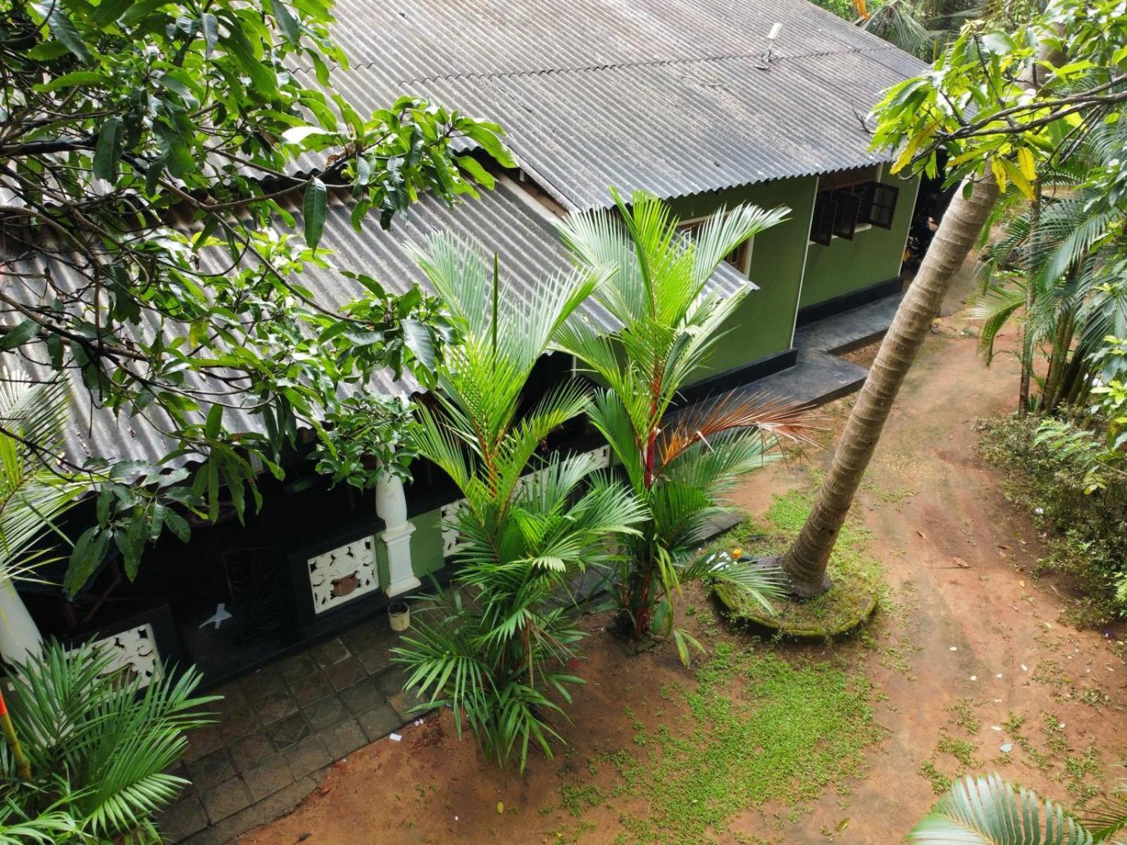 סיגירייה Green Bamboo House מראה חיצוני תמונה