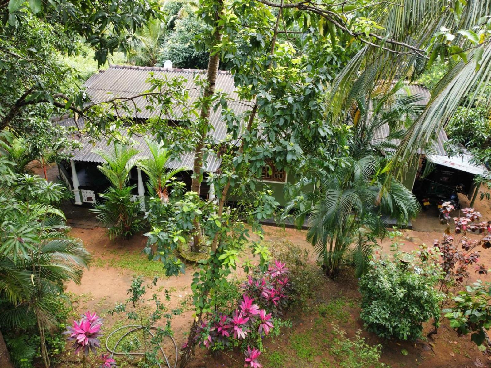 סיגירייה Green Bamboo House מראה חיצוני תמונה